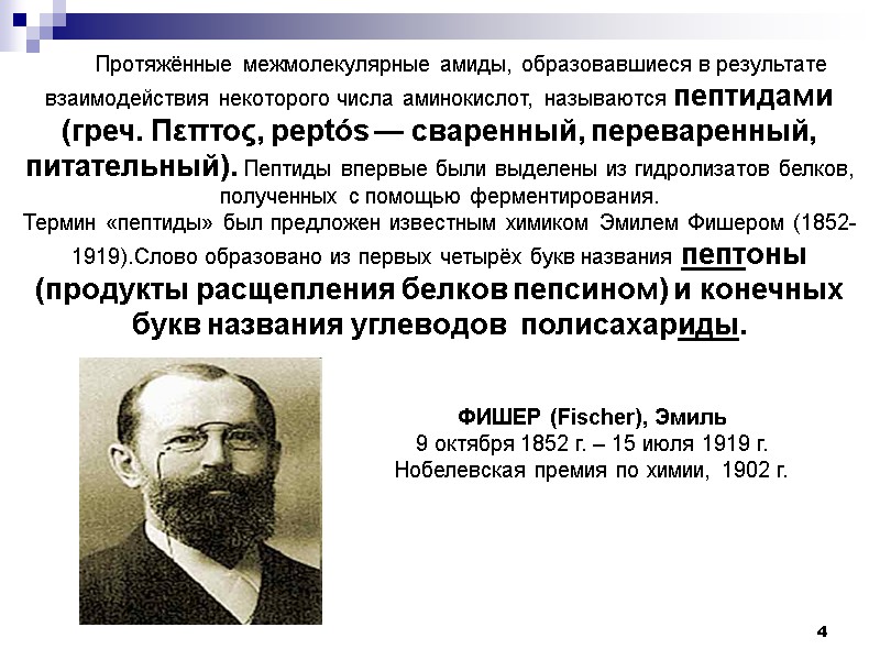 4        Протяжённые межмолекулярные амиды, образовавшиеся в результате